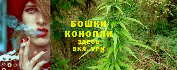 стафф Гусь-Хрустальный